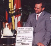 Best in Show Red in South America