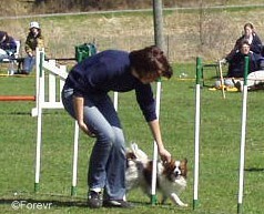 Forevr Hooked on a Feeling - Imported to Sweden 