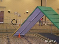Indoor Agility Trial