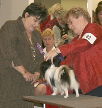 RA Judge PCA Regional National Show 09