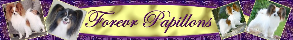 Welcome to Forevr...