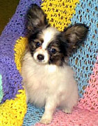 Forevr Ears A Burning