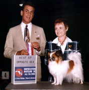 Caratoots Crowned Companion