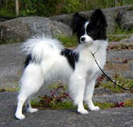 Forevr A Pretty Package