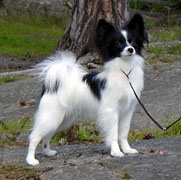 Forevr A Pretty Package