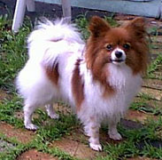 Forevr Warm Fuzzy Feeling