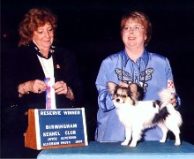 Forevr Name That Tune