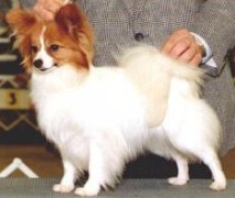 En-La's Aire Of Glamour