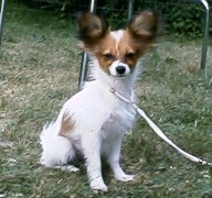 Forevr Ravishing Ruby