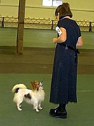 Forevr Ravishing Ruby