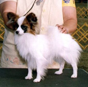 Forevr The Sophisticate