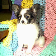 Forevr Ears A Buzzing